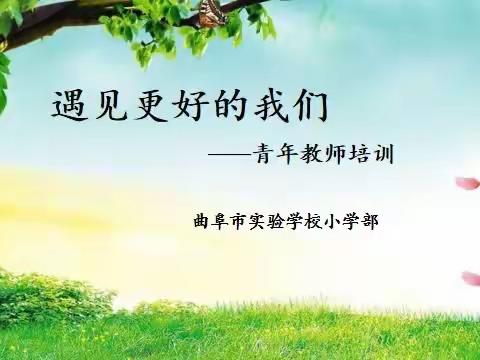 发挥名师引领作用，助推青年教师专业发展