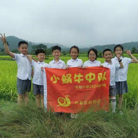 约活：实验小学204班小蜗牛中队三色水稻田游记