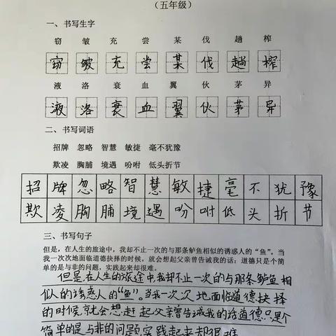 504班校硬笔书法考级作品