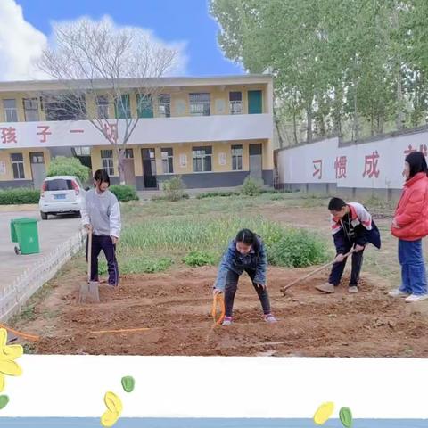 劳动励心志，实践促成长——洪河屯乡崔未炉小学劳动实践基地活动纪实