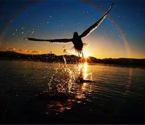 九年级下册第一单元知识提要