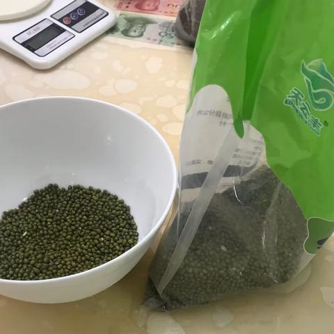 自己动手发绿豆芽