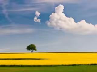 我眼中的香姐——平凡人物的幸福人生