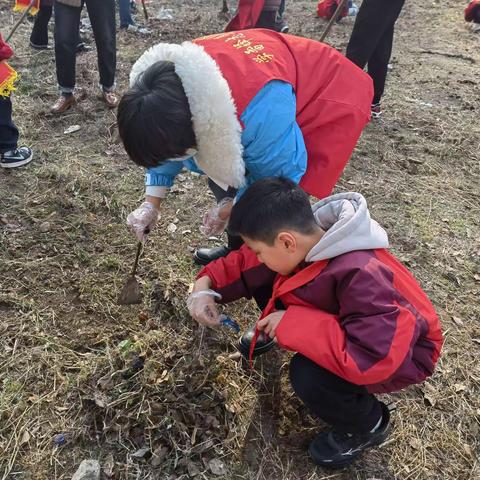 【新时代文明实践铜山在行动】马山村开展植树节志愿者活动