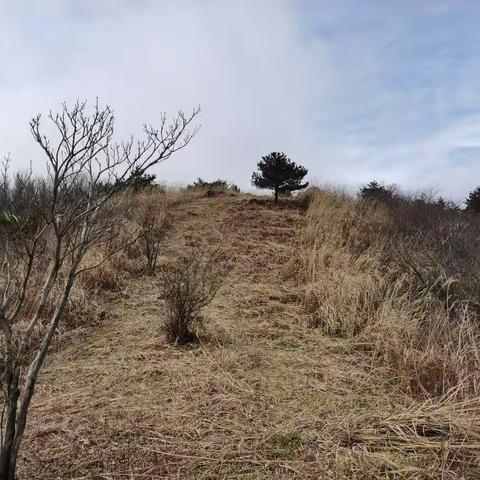 秋意正浓乐利峰