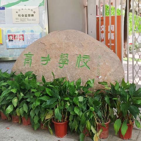 🌿天街小雨润如酥，草色遥看近却无