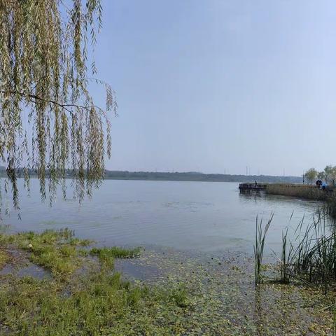 松雅湖游学实况