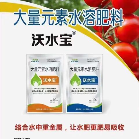 以色列夫沃施新产品👉👉新亮点