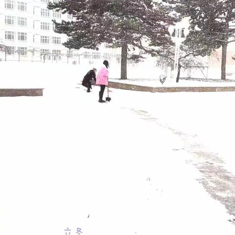 今夕沐雪