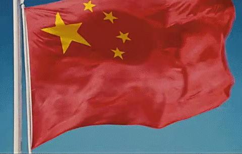 “别样寒假 宅出精彩”二年级二班和您一起祁愿民安，国无恙！