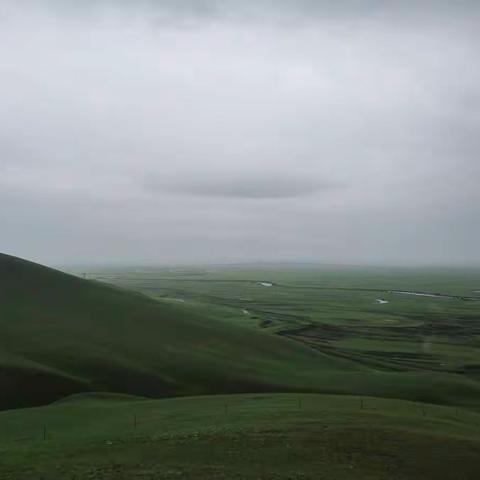 呼伦贝尔大草原