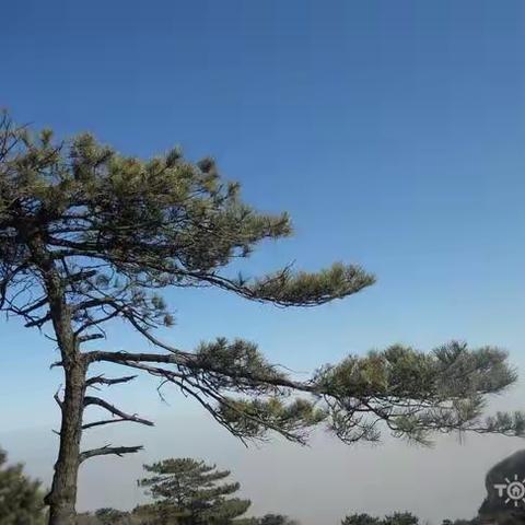 登千年驿道 游百松山村