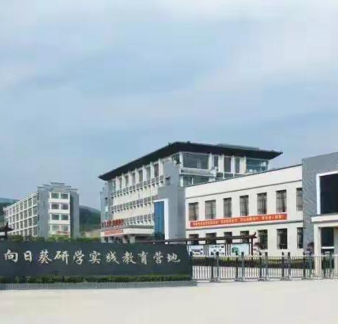 “雏鹰展翅，志在远方”——黄梅县停前镇中学八四班向日葵基地研学旅行