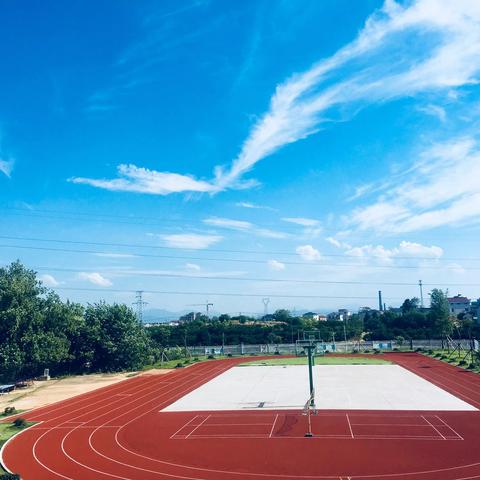 一花一世界，一师一讲台——-记模环小学2018学年第二学期魅力教师卢韩琪