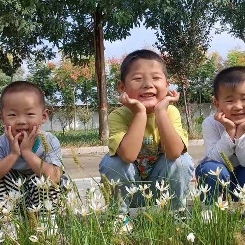 🎀小二班九月班本主题🎀——《爱上幼儿园🎒》