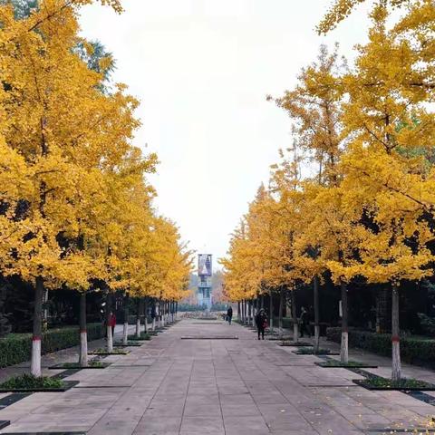 实习分队|不坠吾辈青云志（四）