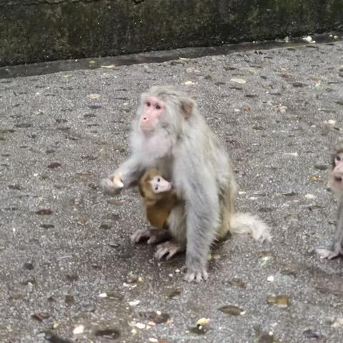 烟雨湖南行之张家界——国家森林公园