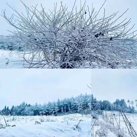 枣子坪幼儿园防范冰雪极端天气安全提示