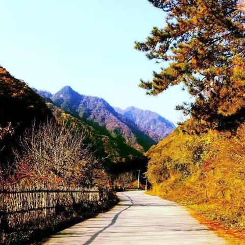 10月 25-26 日太白黄柏塬—华阳古镇两日游