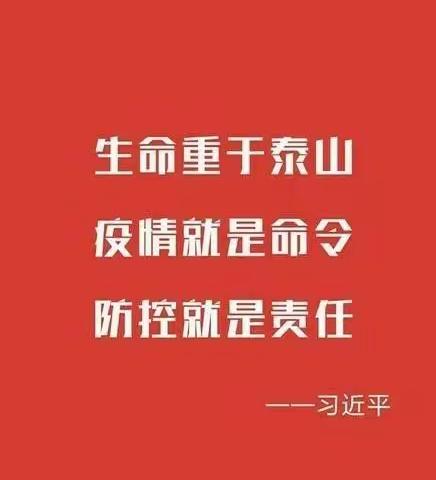 战“疫情”，我们在行动！——石横镇后衡鱼小学六年级一班“宅”中行动 语文篇