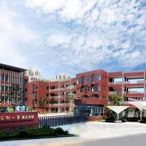 共研，共进，共成长——江浦实验小学滨江分校道德与法治教研组工作总结