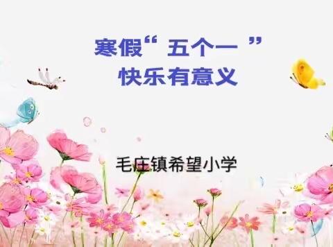 寒假“五个一”，快乐有意义——毛庄镇希望小学寒假“五个一”演讲活动