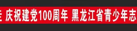 听党话 跟党走 庆祝建党100周年青少年志愿者徒步活动圆满成功