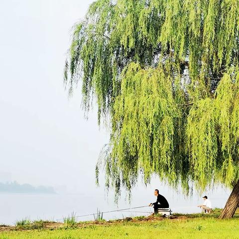 艳词张先，无物似情浓