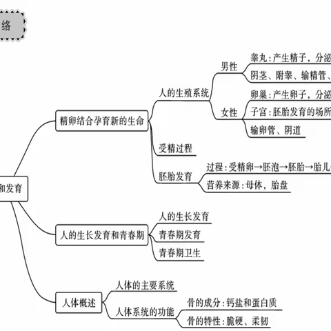 生物作业