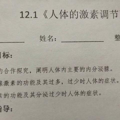 导学案的答案