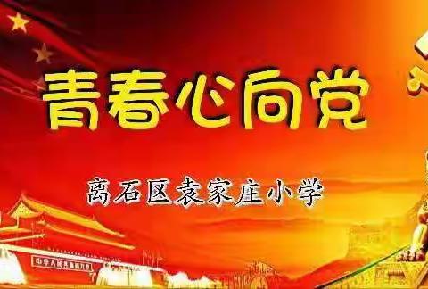 【博雅 袁小】青春心向党 ——五年级数学组教研活动