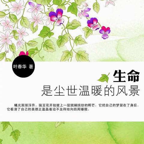 让生命之光更绚烂——记志才学校主题班会课