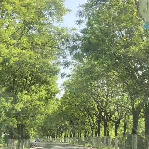 我的五一游记