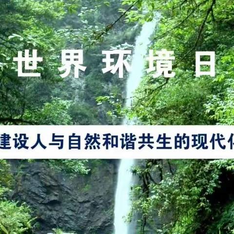 共建万物和谐的美丽家园——6.5世界环境日活动