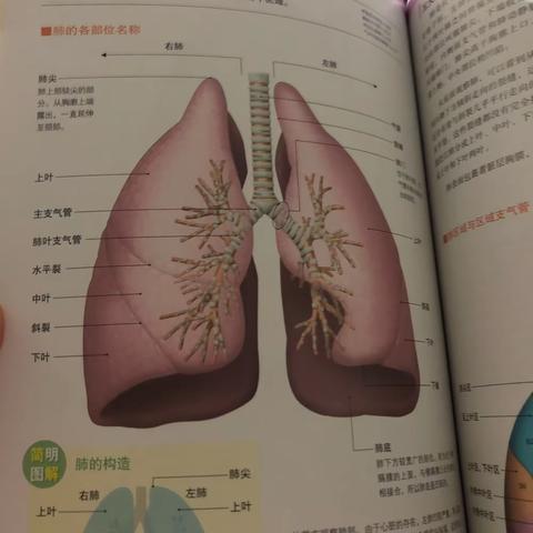 如何结缘瑜伽