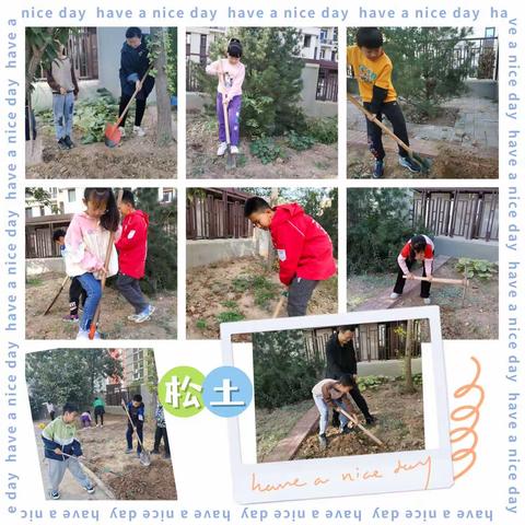 “蔬”香为伴 悦满校园