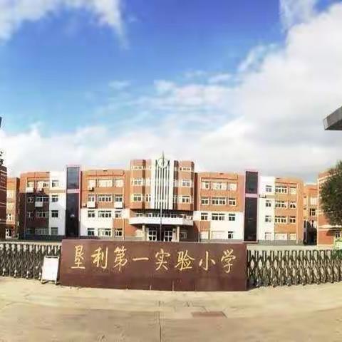 垦利区第一实验小学“柔韧操 篮球操”比赛圆满落幕