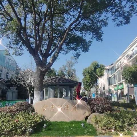 合生朗廷园2024年3月工作简报