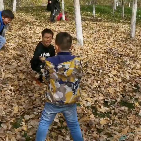 当落叶遇上童年