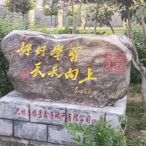 “放飞梦想 茁壮成长”，林东九小一年级开学啦