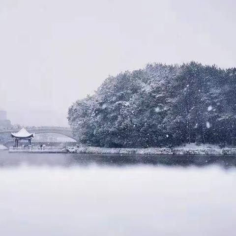 时空里的雪