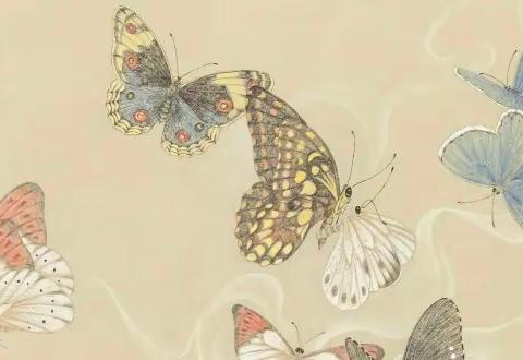 我会“说”，我真棒