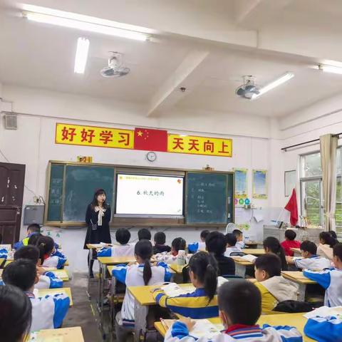 聚焦大单元教学，落实核心素养——万泉镇中心学校常态化教研活动纪实