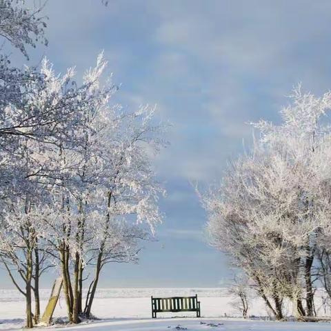 雪趣、雪情