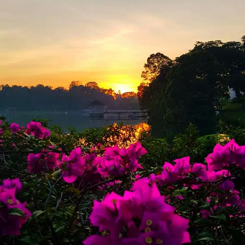 原来时光一直都在，只是我们在飞逝。人生那么短，应该浪费在美好的事情上。