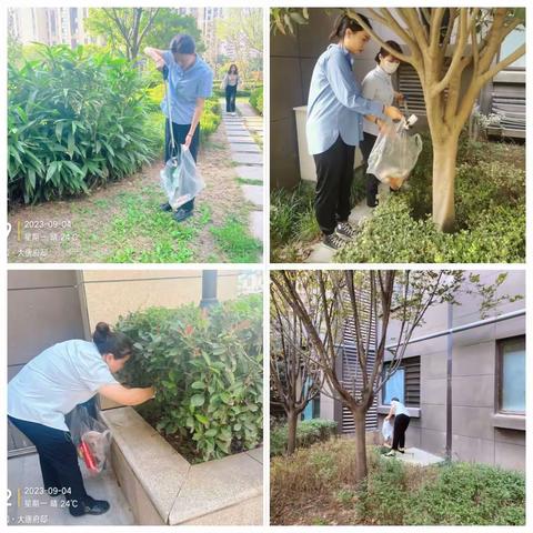 服务周报｜大唐府邸物业服务中心九月第一周物业服务亮点工作