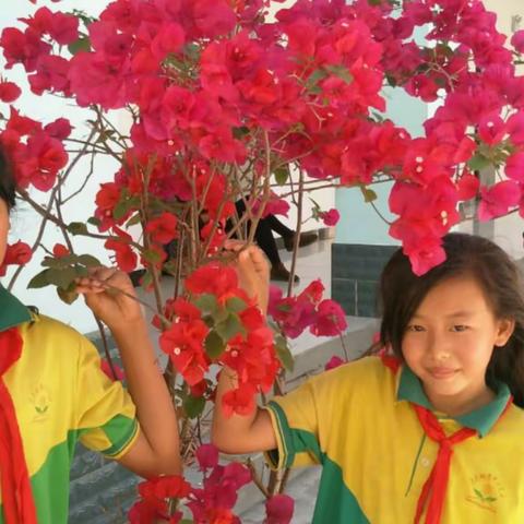 欢乐校园，金秋中的童午。