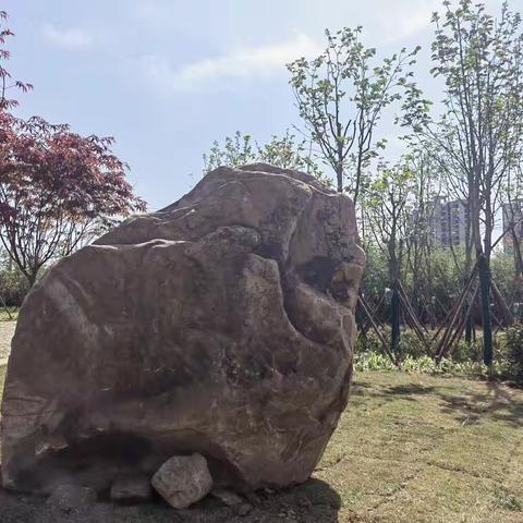 街头摆放景观石 扮靓城市风景线