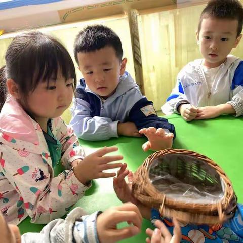 市十幼中二班第四周活动纪实