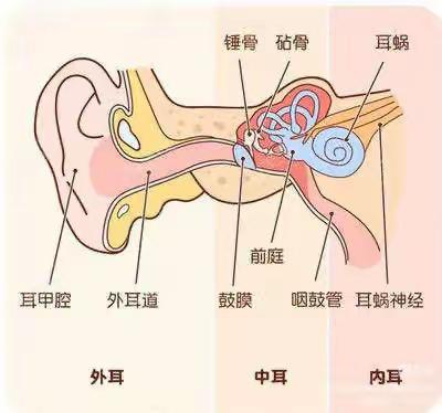 爱耳日之如何保护小耳朵